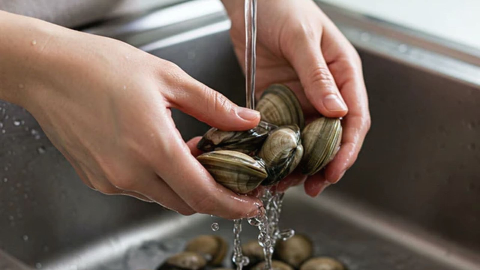 A person scrubbing clams in a sink, ensuring they are clean and ready for cooking.
