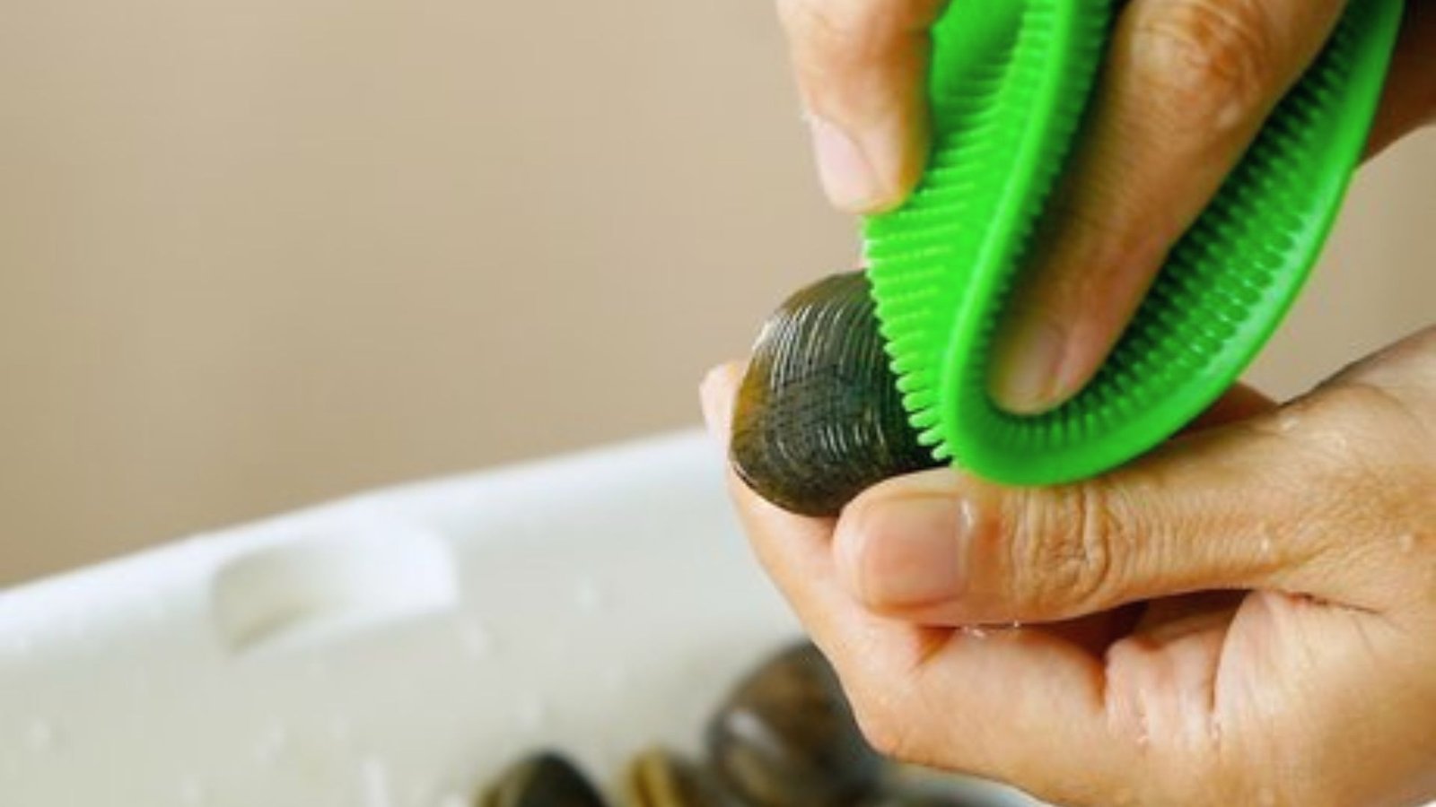 A person scrubs a clam with a green brush, demonstrating a cleaning technique for preparing Little Neck clams.